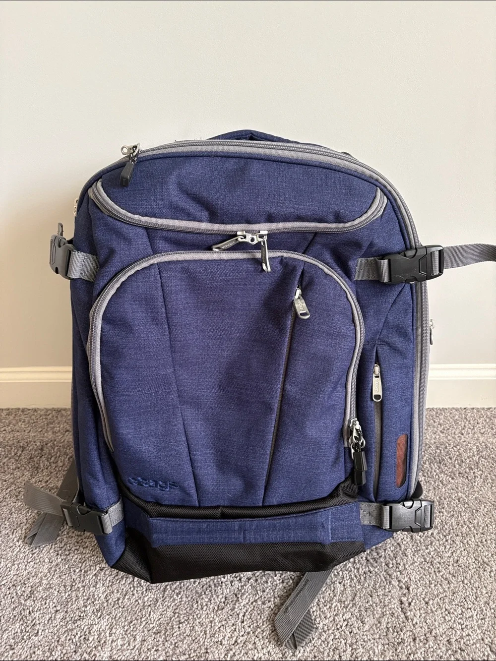eBags Mother Lode Travel Backpack Convertible Expandable Luggage Bag